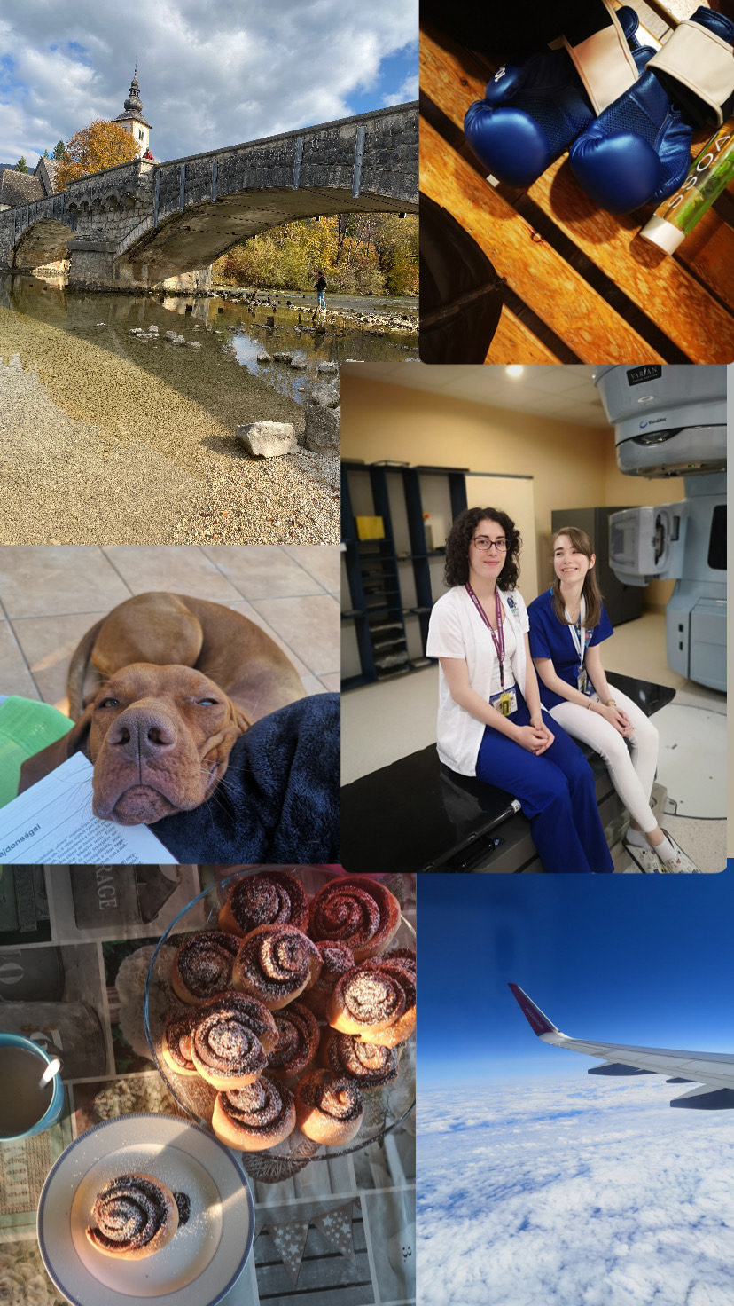 Personal collage: Travel, sport, work, my dog, my hobbies